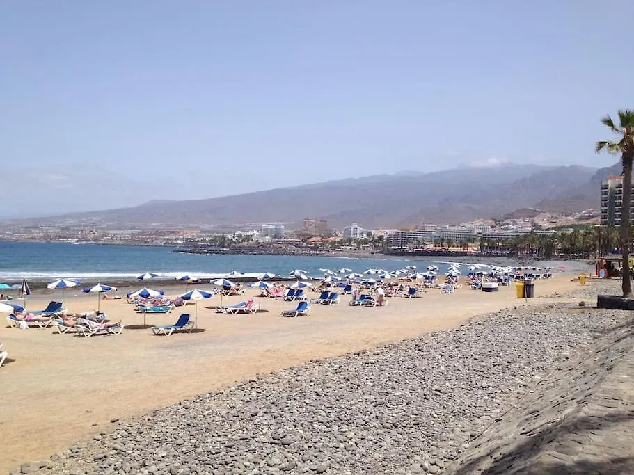 Cozy Studio Las Americas Playa de las Americas  Appartamento Playa de las Americas (Tenerife)